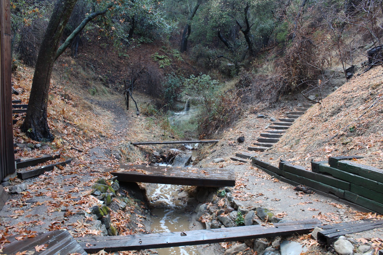 HEAL TOPANGA CREEK – Volunteer Event