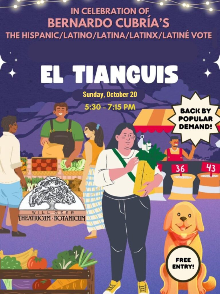 Tianguis